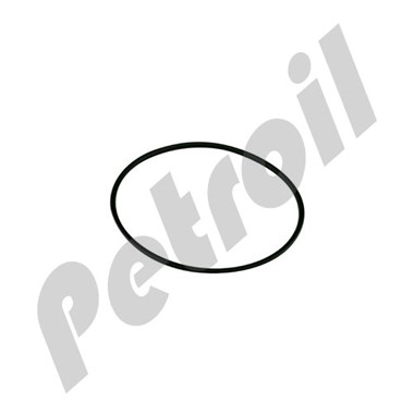 101853S 101853S Fleetguard Cummins Filtration GASKET PKG