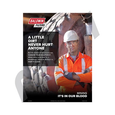 FORM819 Poster Baldwin Mineria