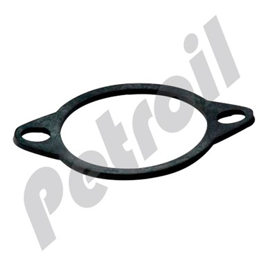 P760862 Donaldson Empaque/Sello