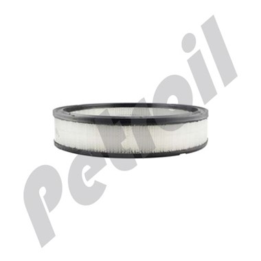 PA2009 Filtro Baldwin Automotriz Aire Elemento